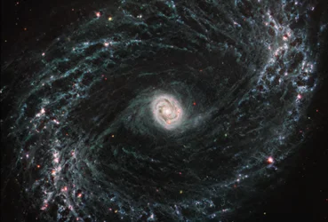 NGC 1433（MIRI画像）