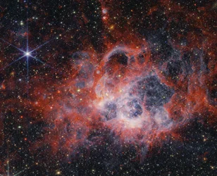 NASAのウェッブ宇宙望遠鏡でNGC 604の触手状構造を観察