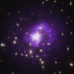 ウェブ宇宙望遠鏡が捉えたフェニックス銀河団の星形成全貌