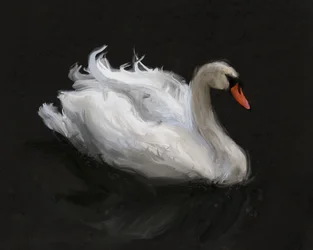 優雅な白鳥