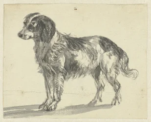 立ち犬