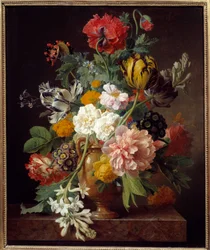 塊根を持つ花の花瓶 ヤン・フランツ・ヴァン・デール（1764-1840）による絵画 1807年 薄暗い。0.65x0.53 m リヨン、ボザール美術館（Musee des Beaux Arts