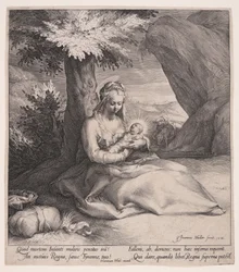 エジプトへの飛行中の休息