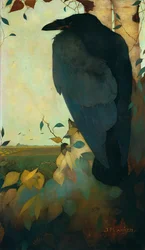 白樺の木にいるカラス