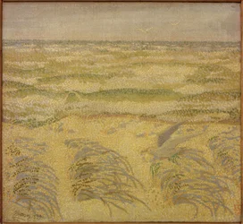 砂丘と海