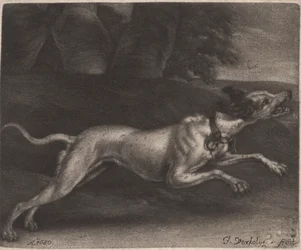 走る犬