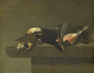 死んだ鳥