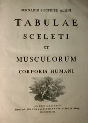 J.undHから出版されたBernhard Siegfried Albinus（1697-1770）による、人体の骨格と筋肉の表からのアルバム1、タイトルページ。 Verbeek、bibliop。、ライデン、1747