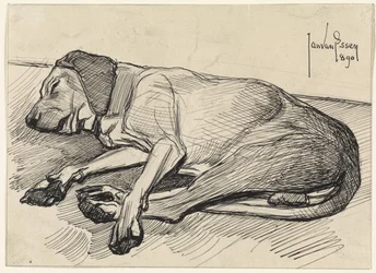 左に眠る犬