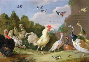 雄鶏、トルコ、雌鳥および他の鳥、17世紀の森の風景