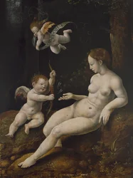 金星と2つのキューピッド、c.1528（パネルに油彩）