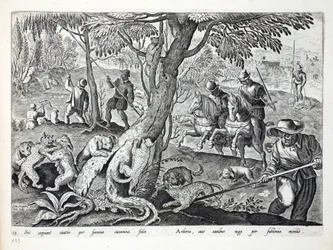 Jan Collaert（1566-1628）によって刻まれた &39;Venationes、Ferarum、Avium、Piscium&39;（Of Hunting：Wild Beasts、Birds、Fish）からのイラスト、犬と一緒に猫を狩猟、パブ。 Phillipus Gallaeus、アムステルダム（eng