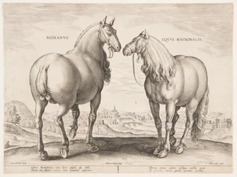 「Equile Joannis Austriaci」の最初のセットのローマの馬