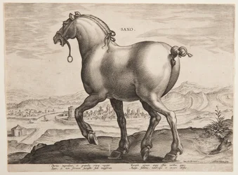「Equile Joannis Austriaci」の最初のセットからのサクソン馬