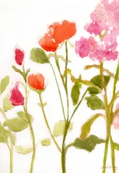 オレンジとピンクのバラの花、2024年頃（紙に水彩、カゼイン）