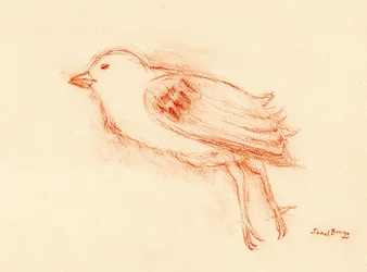 夏の脆弱性と死（私の階段の吹き抜けによる死んだ鳥III） 2021年頃 （紙にパステル）