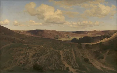 Vendsyssel の Nejsum の風景