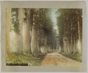 日光・今市街道（手彩色のモノクロ写真