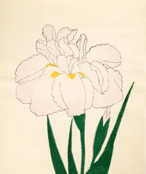 En-Yo-No-Ten、No. 73、1890（color woodblock print）