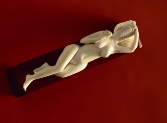 医師に自分の病気を説明するために女性が使用する女性像