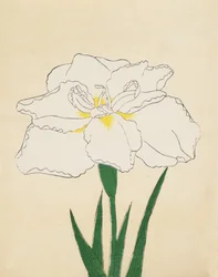 白王殿40号1890年（木版印刷）