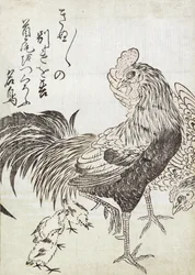 雌鶏、雄鶏とひよこ