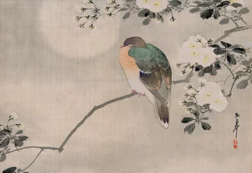日本の絹絵「木鳩図