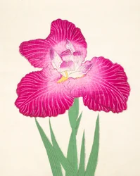 Kyo-Kano.ko, no.24, 1898 