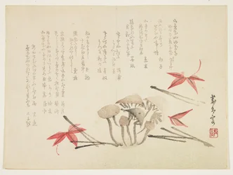 キノコ、カエデの葉、松葉（色木版画）