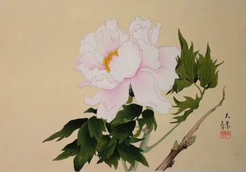 Peony, pub. 1950   1453939   ja       japanese Successfully Translated  Original: Art lover Translat: Art lover 1463405 ja japanese Successfully Translated Original: Illustration of a stampede of animals from The Wren and the Bear. Translat: Illustration o