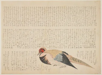 キジ、c.1818-29（色木版画）