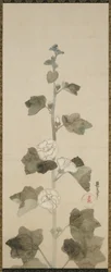 白いタチアオイ、江戸時代、1615〜1868年（紙にインク、色合い、金）