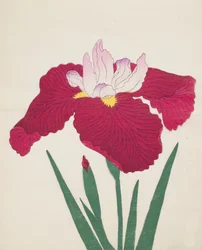 山又山、83年、1890年（カラー木版）