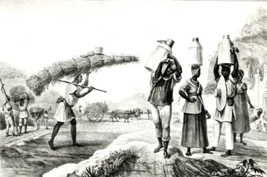 Milk and Capim Vendors, from 