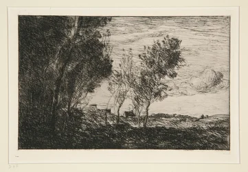 Dans les Dunes: お土産 du bois de la Haye (砂丘で: ハーグの森の記憶)