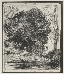 木々の山々、オリジナルの印象1856、1921年に印刷。