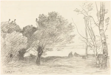 ヤナギと白いポプラ Saules et peupliers blancs, 1871.