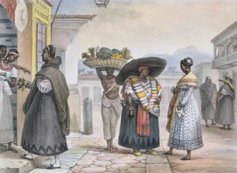 作品から生計を立てている無料の新入生、 &39;Voyage Pittoresque et Historique au Bresil&39;、1839（カラー彫刻）