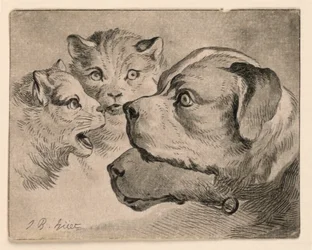 猫と犬の頭