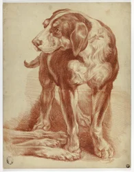 ハウンド・スタンディング