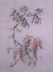 花と実の装飾的考察