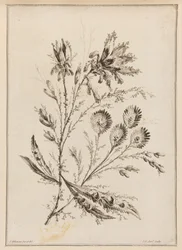 花の枝