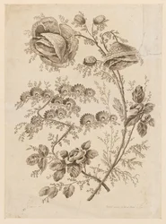 「Caier de Fleurs Singuliers」より 花の枝
