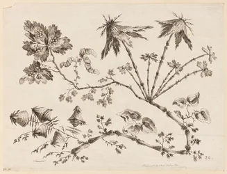 花を買った、「中国の味のさまざまな幻想の花のコレクション」より