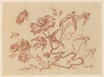 花を買った、「中国の味のさまざまな幻想の花のコレクション」より