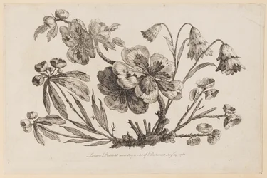 花の枝、「中国の花のコレクション」より