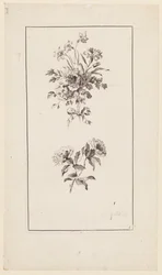 花の枝、「Divers Bouquets d