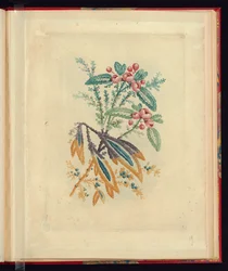 製図工・画家用の新生花帖より 赤い小さな花と実の装飾文様 No.1