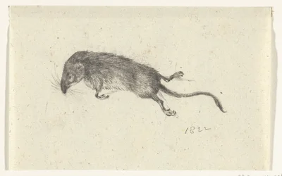 死んだマウス