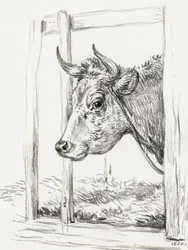 『牛の頭』（1820年）